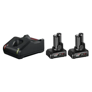 Bosch 18V High Performance ProCORE18V Starter Kit with 2 X 4.0Ah Batteries & Charger 0600A01BA4